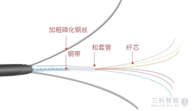 樱桃app安卓下载地址光纤
